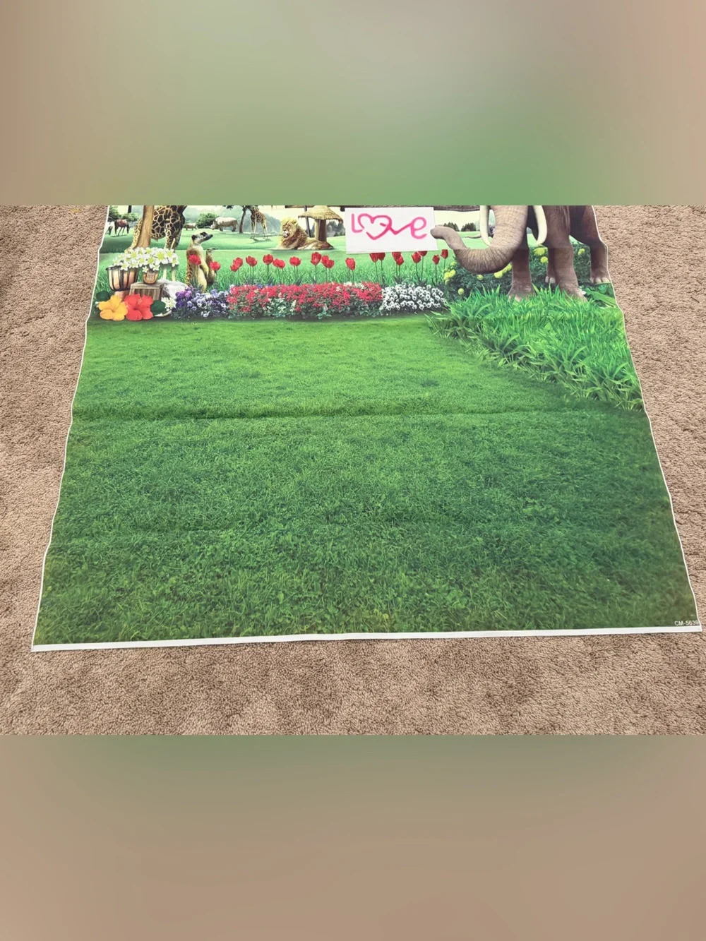 Zoo Backdrop